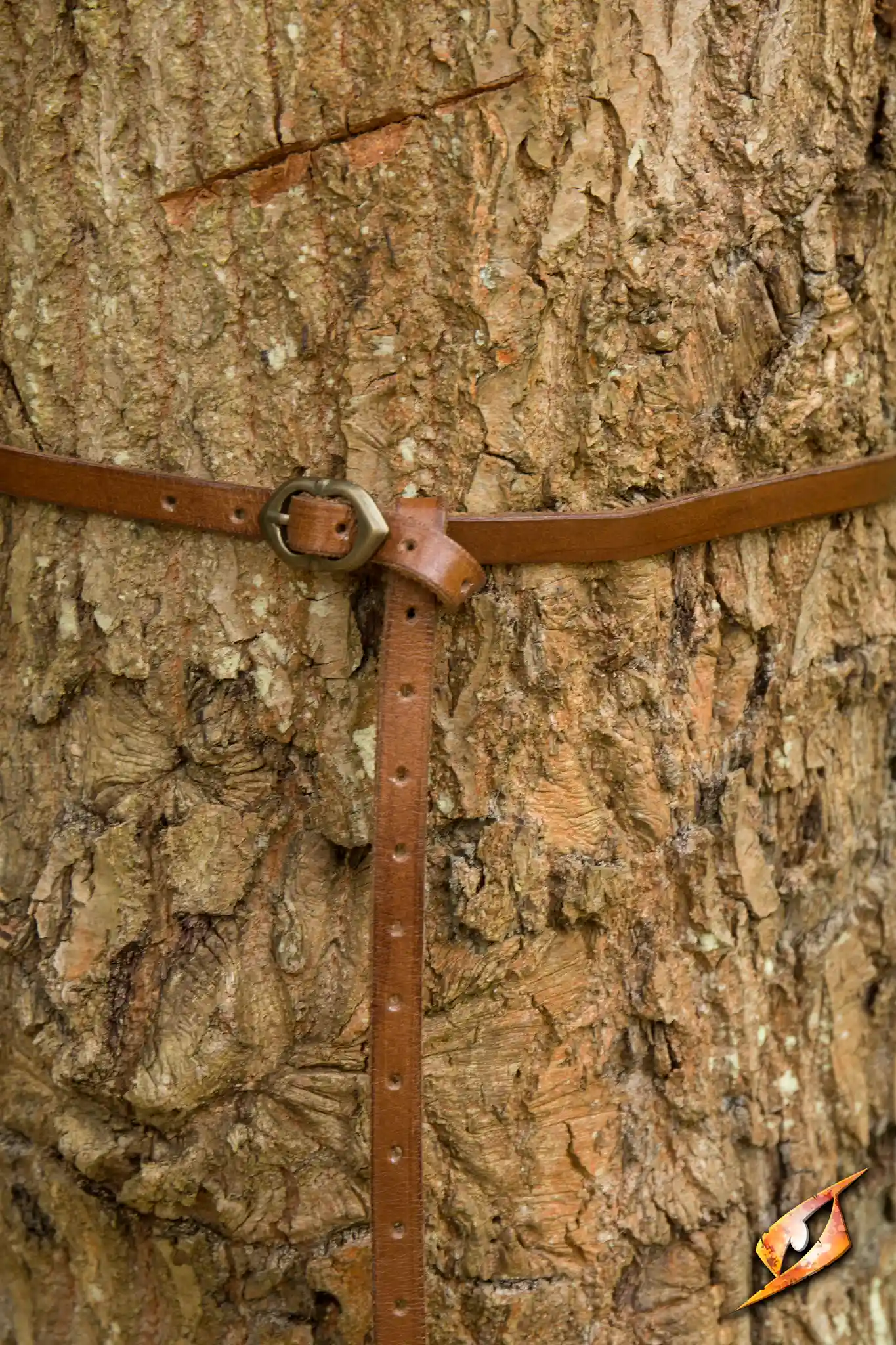 Belt Godfrey - Image 5