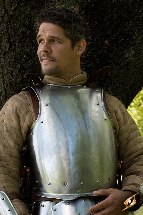 Breast Plate Warrior - Image 3