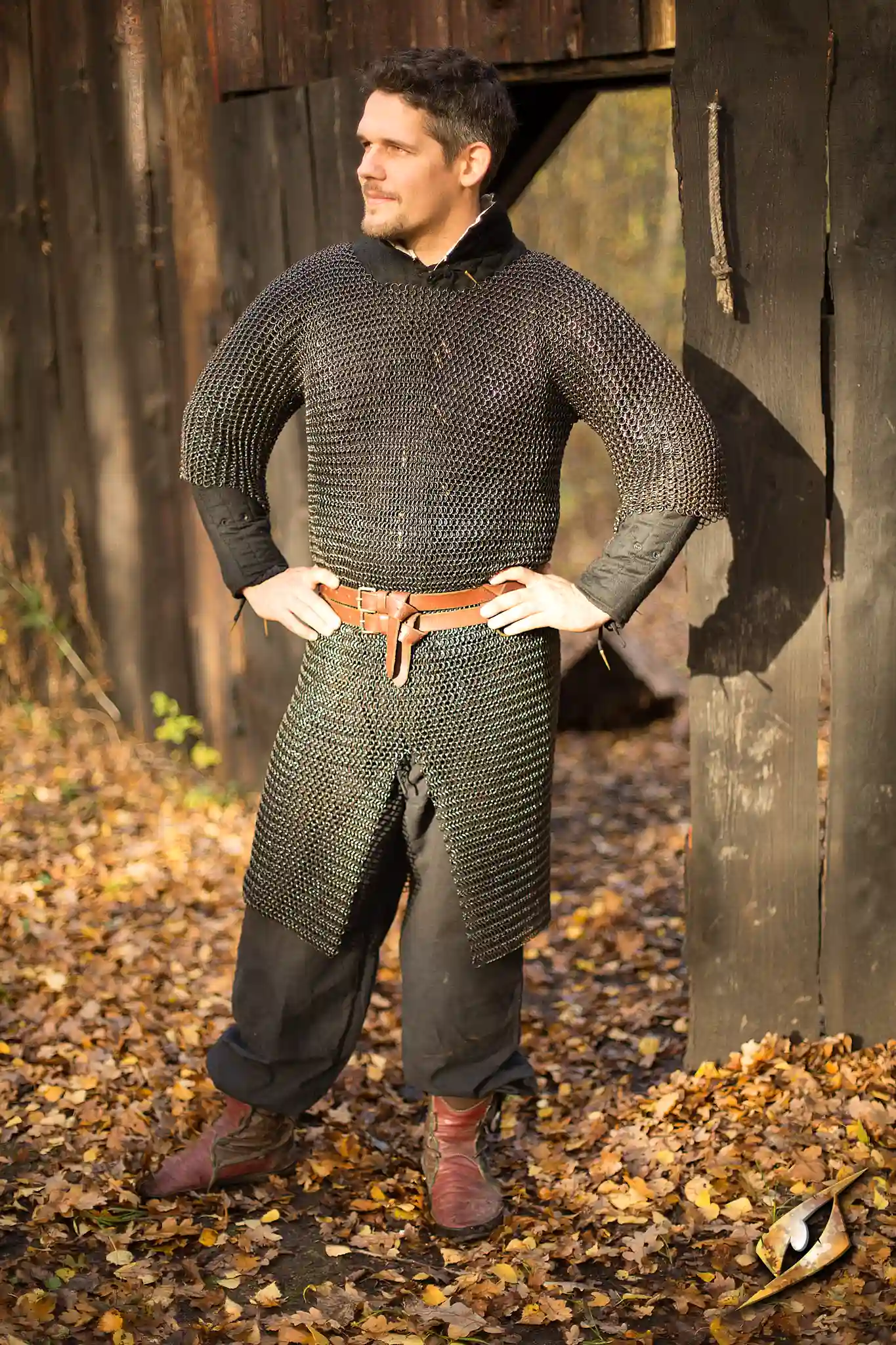Chainmail - Ragnar - Image 6