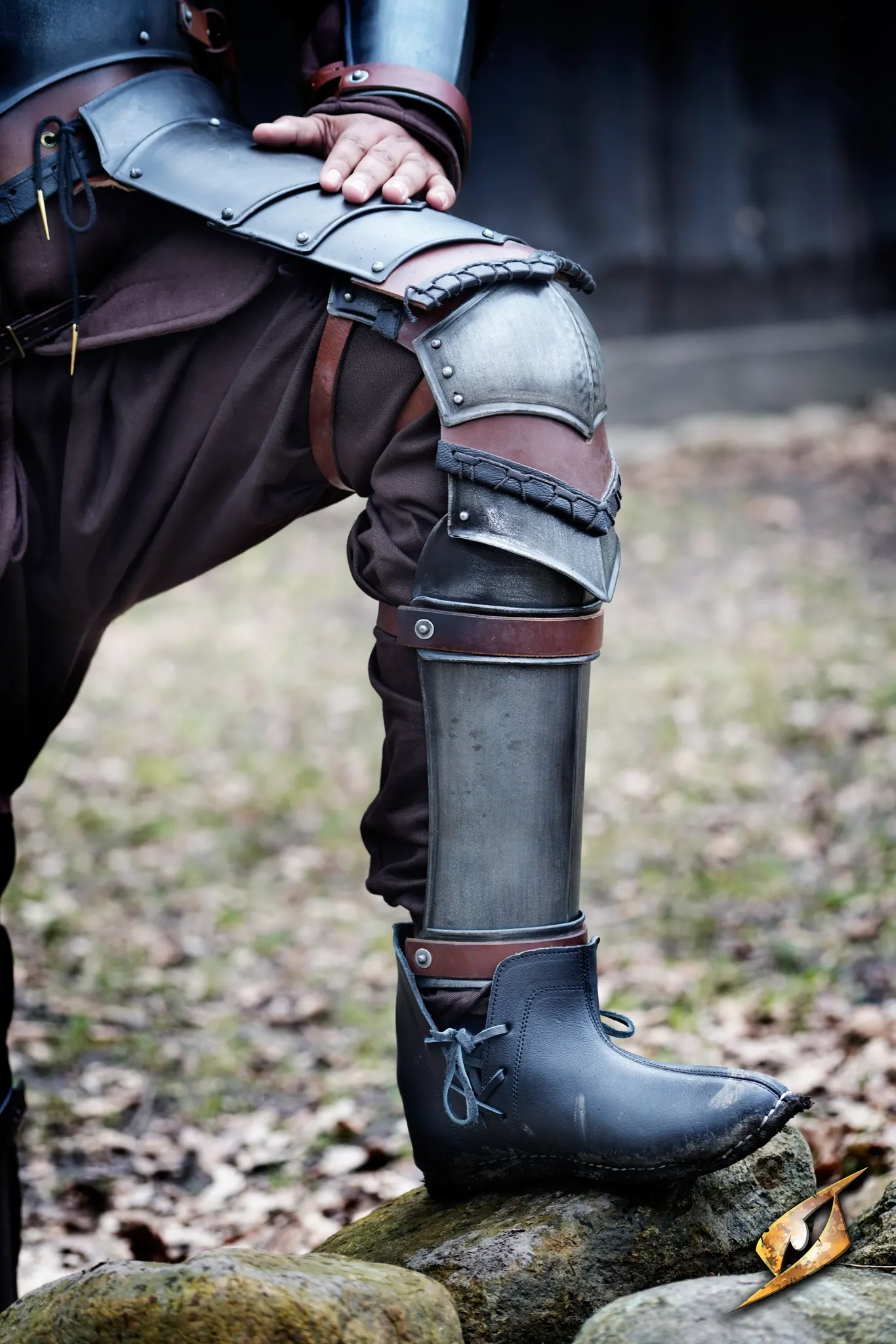 Rogue Leg Protection - Image 3