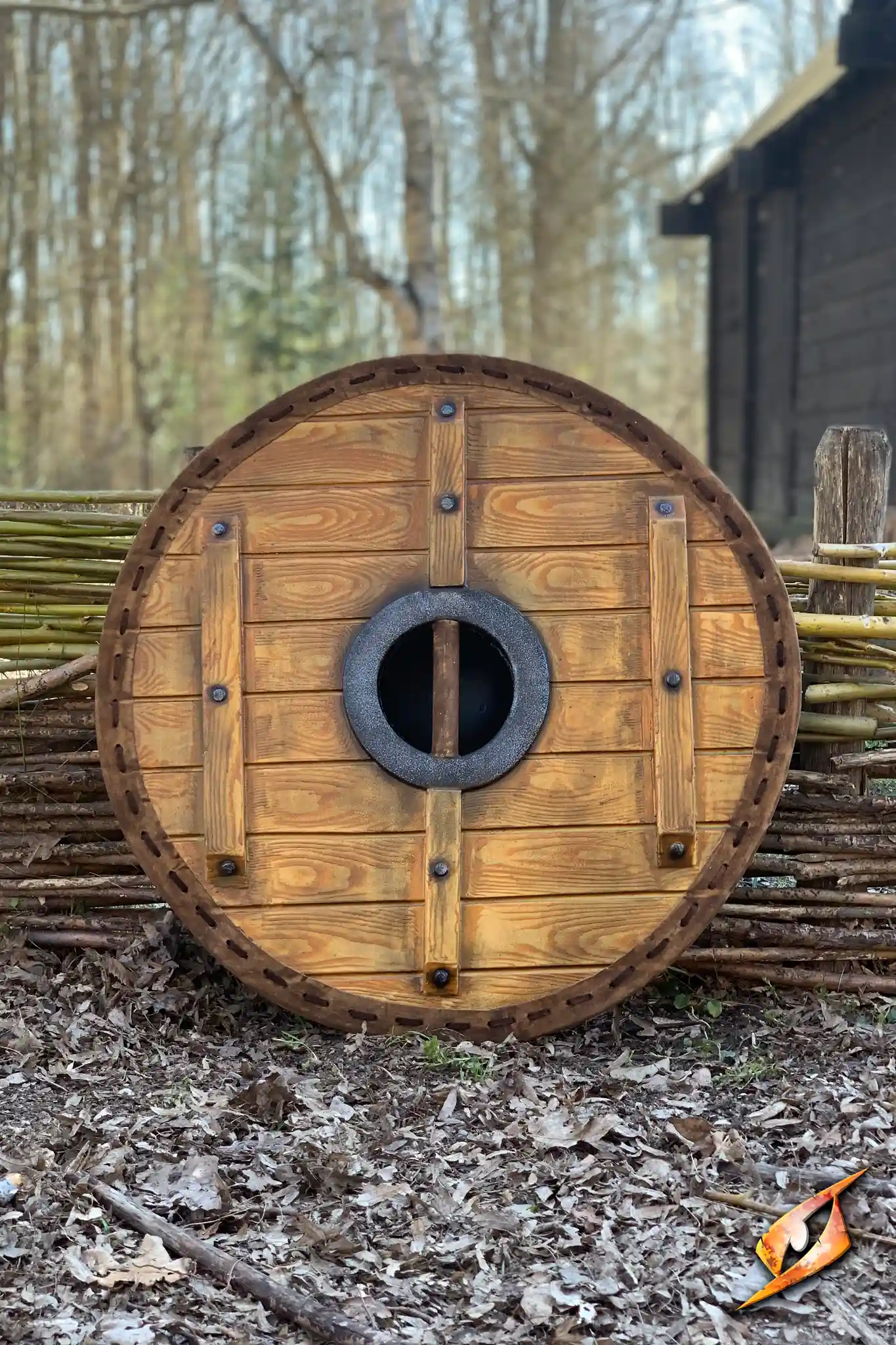 Thegn Shield - Image 2