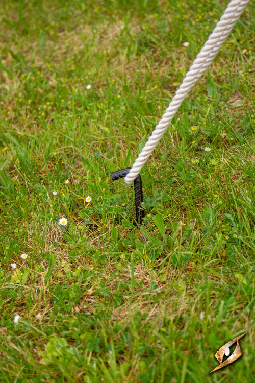 Iron Pegs - Image 4