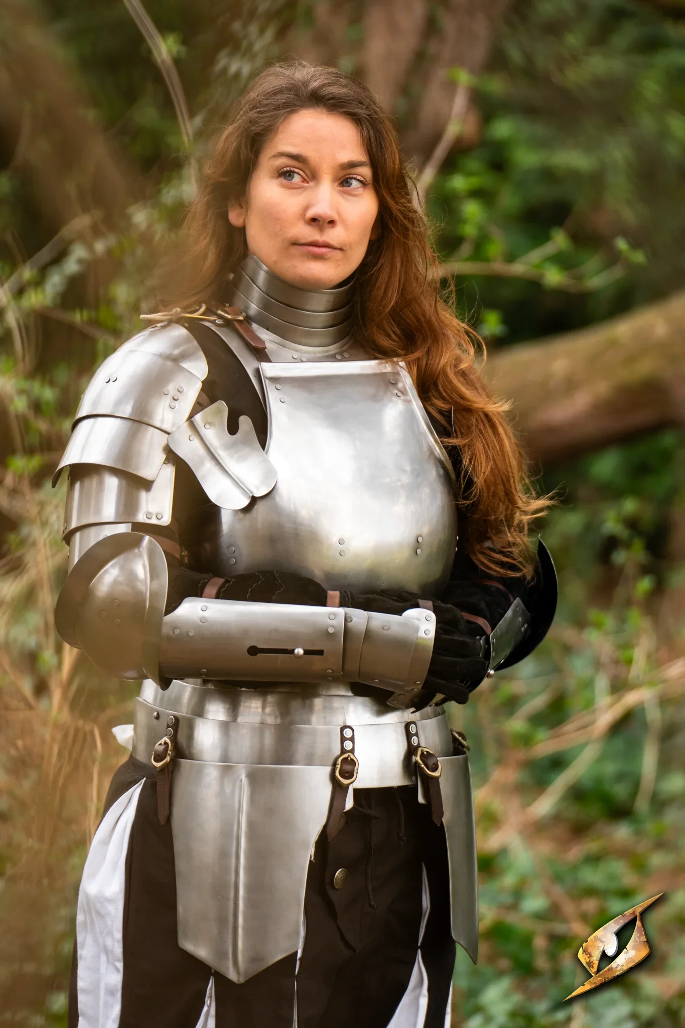 Landsknecht Cuirass - Image 5