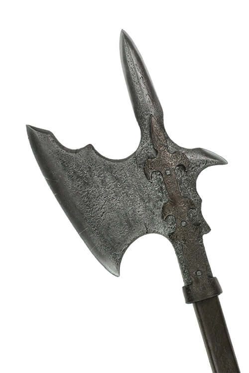 Falcon Head - Image 6