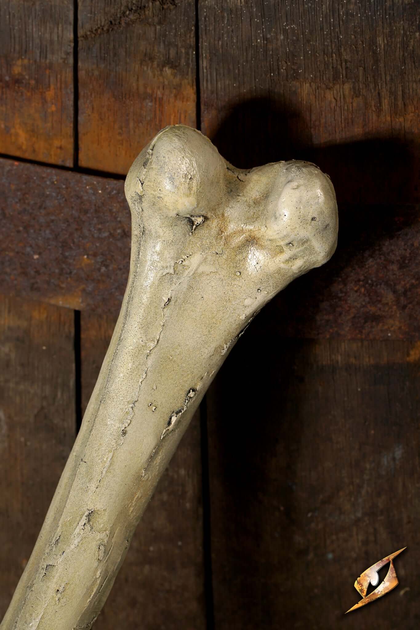 Thigh Bone - Image 6