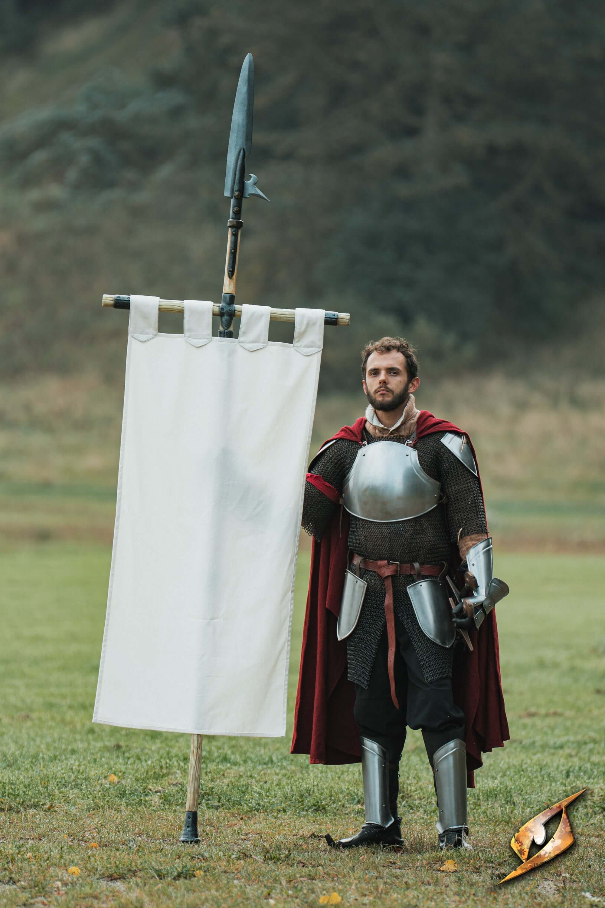 Complete Battle Standard Set - Fauchard Top - Image 4