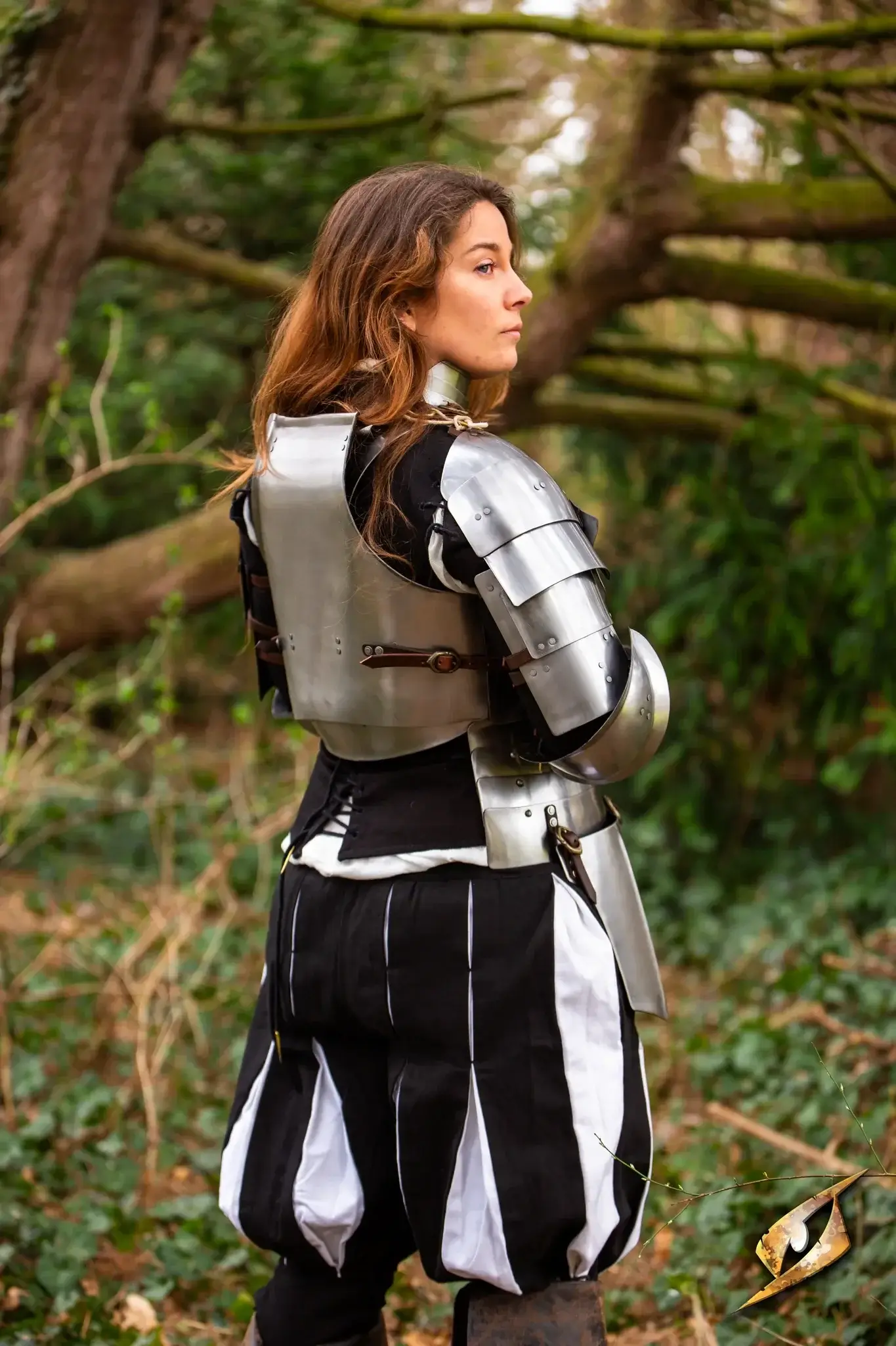 Complete Landsknecht Armour Set - Image 8