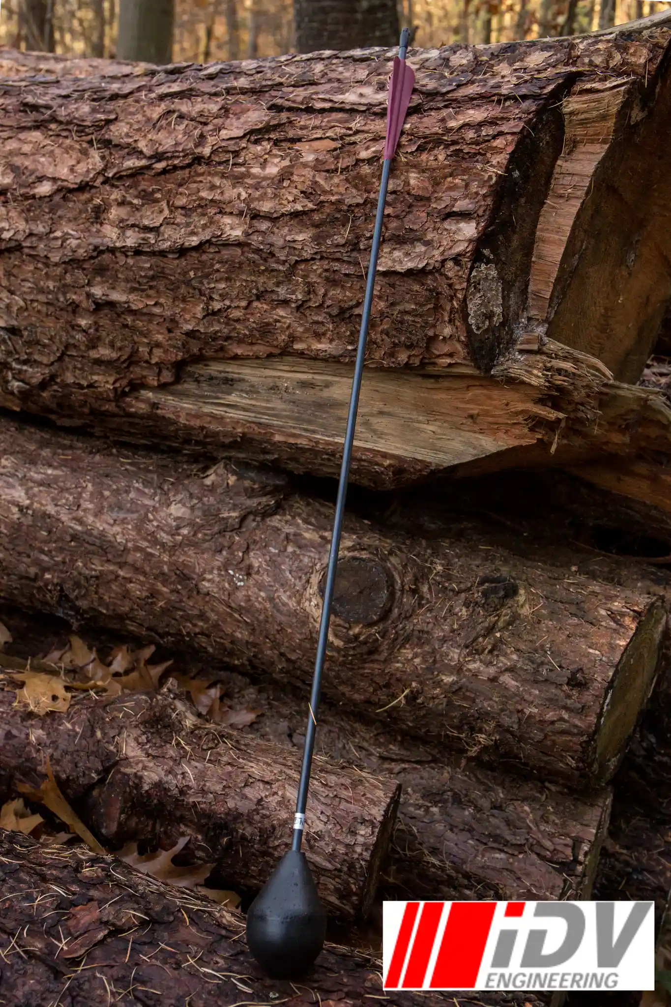 Arrow - Round Head - Black Shaft - Image 3